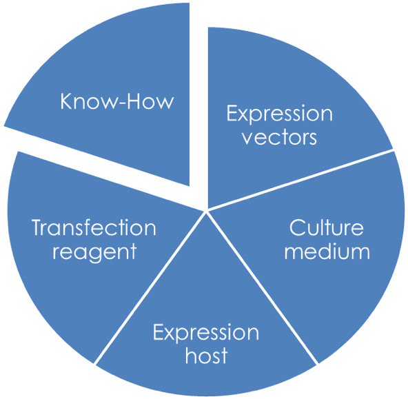 ExpreS2ionB's tweet photo. The #ExpreS2 system enables your VLP/ recombinant #antigen #expression & process development. Contact info@expreS2ionbio.com #biotech #drosophila #S2 #vaccines #vaccineswork #complexproteins #zika #malaria #dengue #hpv #her2 #hiv #tlr7 #tlr8 #tlr4 #human #research #mhc2 https://t.co/YYF8xC0Gh9