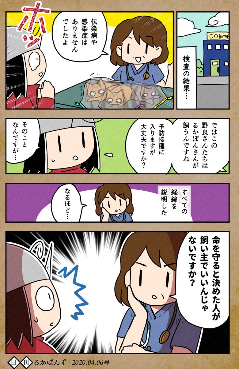 保護猫3兄妹の猫マンガまとめ⑤。

保護したけど、すんなり飼えなかった話(2/2)

#保護猫3兄妹 #猫 #ねこ漫画 #コミックエッセイ #猫まんが 