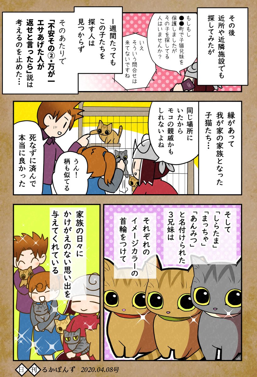 保護猫3兄妹の猫マンガまとめ⑤。

保護したけど、すんなり飼えなかった話(2/2)

#保護猫3兄妹 #猫 #ねこ漫画 #コミックエッセイ #猫まんが 