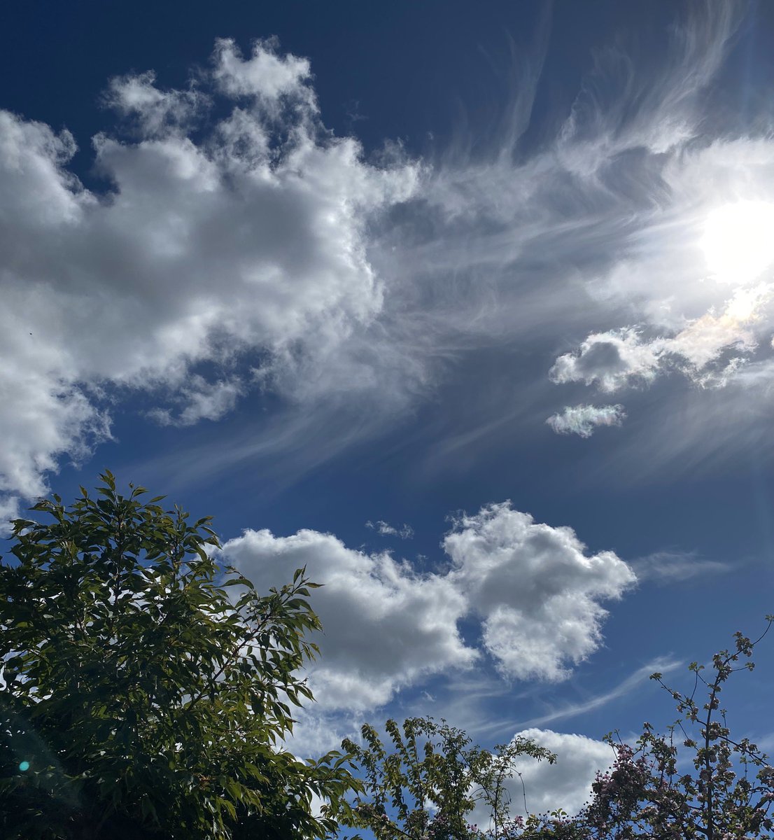 proofcopy_edit's tweet photo. Seriously distracted by these seriously beautiful clouds... #clouds #mondaythoughts #amediting ...perhaps that should be #amtryingtoedit https://t.co/q7nS8iOcCW