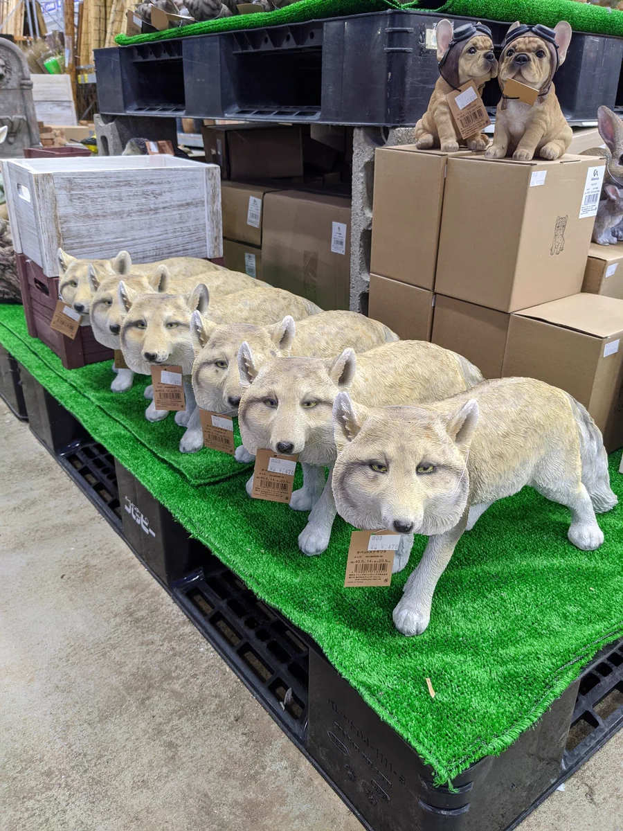 お庭の手入れをする人が増えて犬猫の置物が売り切れた結果？！ホームセンターにチベットスナギツネが増殖www