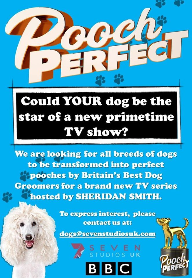 BBC1 is looking for dogs to take part in a brand new show with Sheridan Smith, Pooch Perfect UK and be transformed by the UK’s best dog groomers.  Apply now by emailing dogs@sevenstudiosuk.com 🐾 #PoochPerfect #PoochperfectUK #UKCastings #BeOnTV