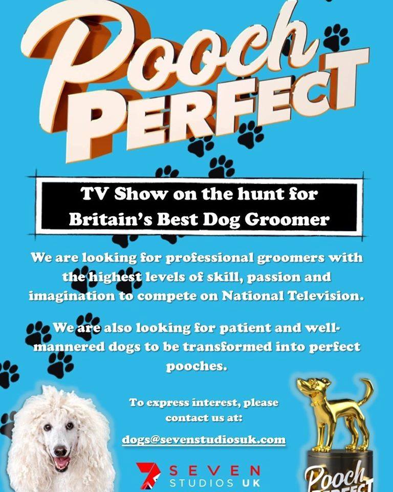 BBC1 is looking for talented professional dog groomers to take part in a brand new show with Sheridan Smith, Pooch Perfect UK.  Apply now by emailing dogs@sevenstudiosuk.com #PoochPerfect #PoochperfectUK #UKCastings #BeOnTV
