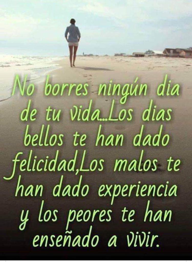 antoniodivine's tweet photo. No #borres ningún #dia de tú #vida... https://t.co/vQSw2GAERX