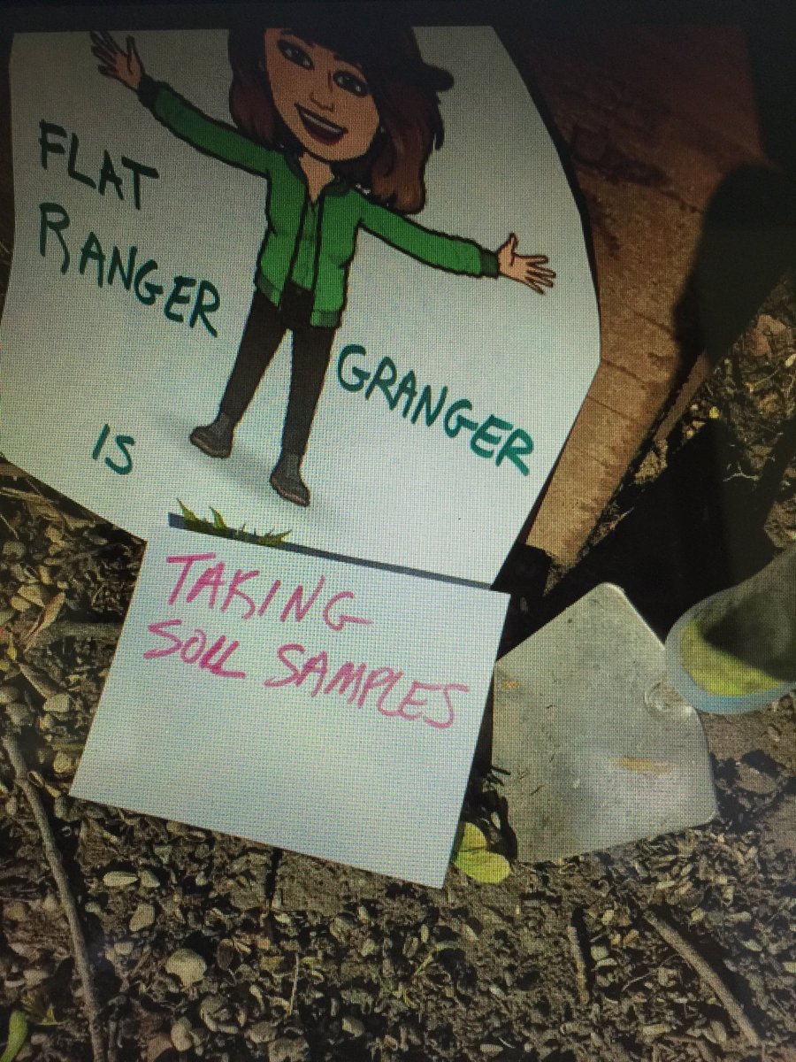 RunSpruce's tweet image. Flat Ranger Granger is hard at work helping teachers and students at Centennial HS gather soil samples for their environmental science course.