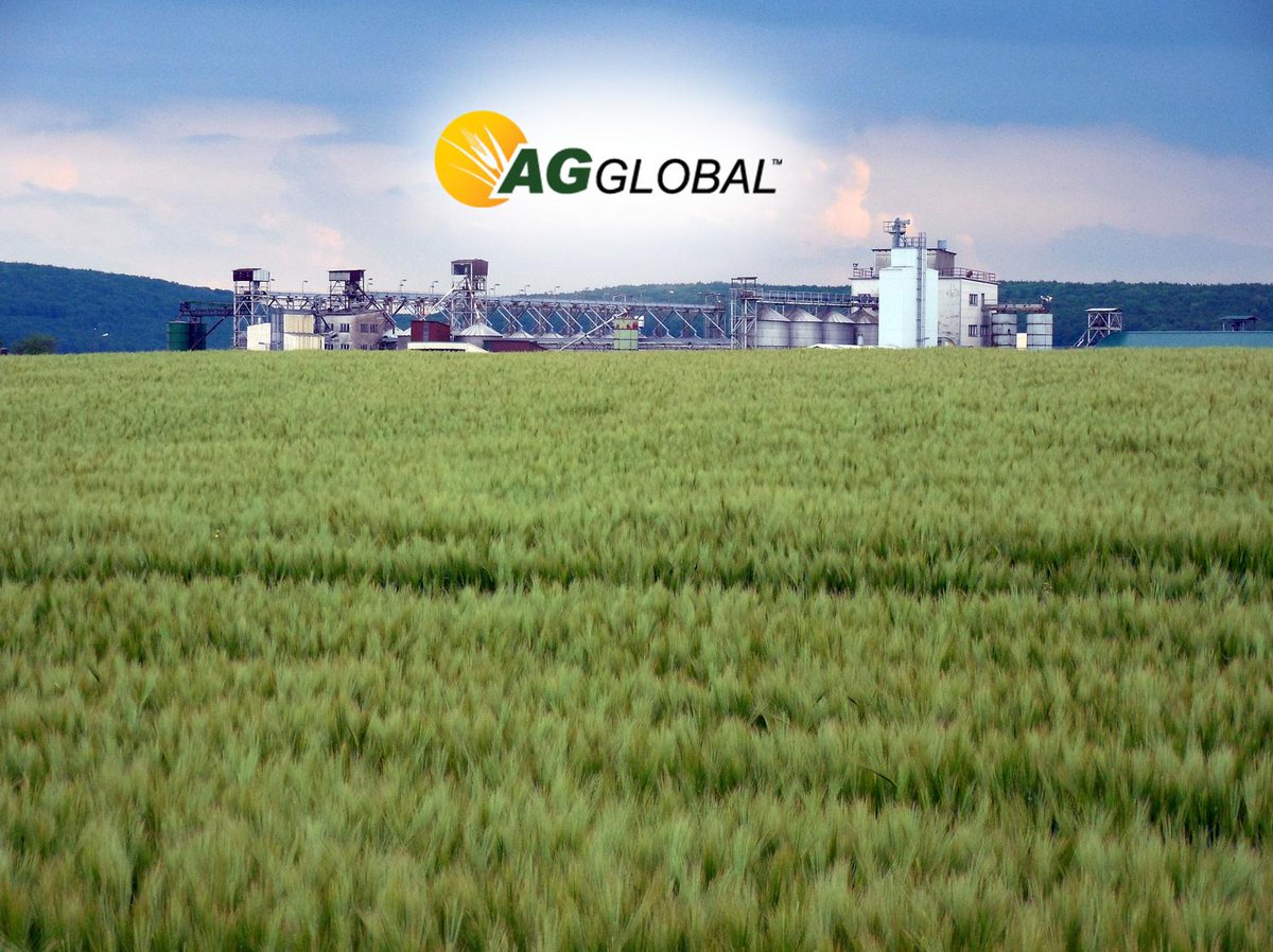 AG Global covers all your production needs. Our proximity to major Ontario shipping and rail arteries offers a smooth logistics system for your product to reach your market quickly. Please contact gstill@agglobal.co or call 705-812-3206.