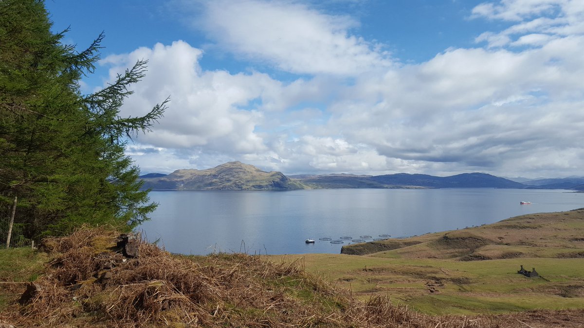 View from todays walk. Looking over to Ardnamurchan. Very clear