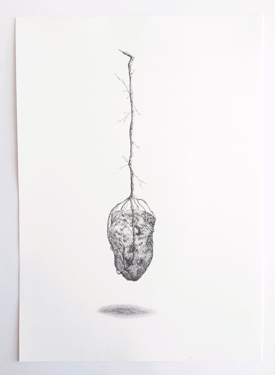 Very fine pen drawings by Joella Wheatley, available for only £50-£95 as part of the #artistsupportpledge! Please give artists your support during this difficult time. All the money goes directly to the artist.  Hold Me Before I Fall, pen on paper, 40 x 30 cms