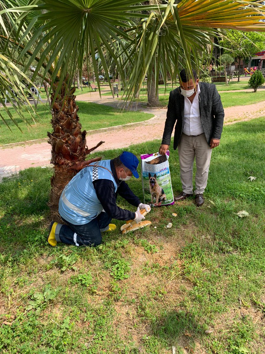kadirlibel's tweet photo. Belediyemiz ekipleri İlçemiz Genelindeki park ve mahallelerde sokak hayvanları için mama ve ekmek bıraktık.
Bu zor süreçte kapanan işyerlerinin sayısının artması ile yiyecek bulmakta sıkıntı çeken sokak hayvanlarımız için periyodik olarak mama ve ekmek bırakmaya devam ediyoruz. https://t.co/rI45jqOqcV