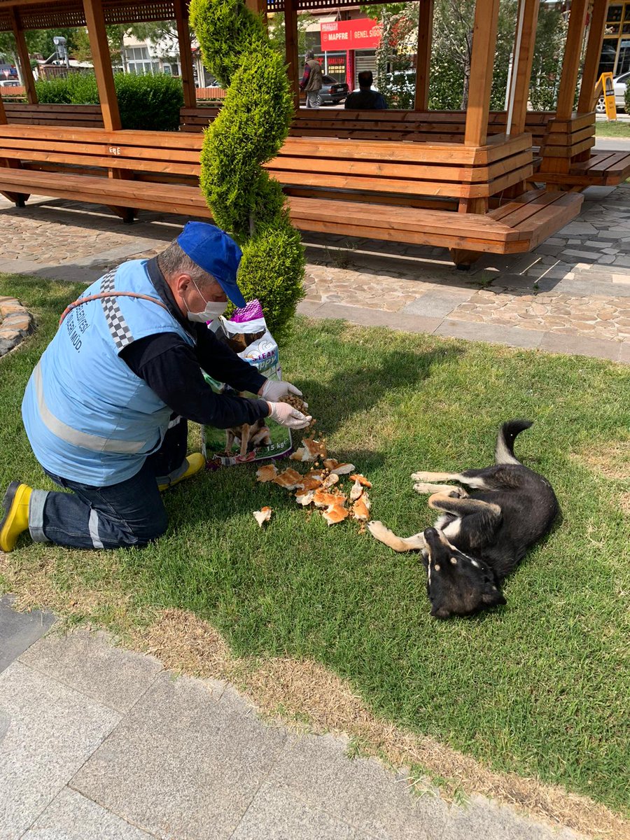 kadirlibel's tweet photo. Belediyemiz ekipleri İlçemiz Genelindeki park ve mahallelerde sokak hayvanları için mama ve ekmek bıraktık.
Bu zor süreçte kapanan işyerlerinin sayısının artması ile yiyecek bulmakta sıkıntı çeken sokak hayvanlarımız için periyodik olarak mama ve ekmek bırakmaya devam ediyoruz. https://t.co/rI45jqOqcV