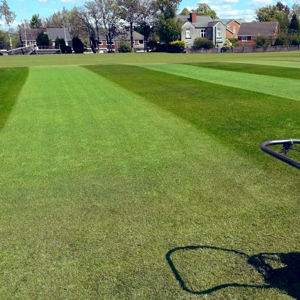 CliftonCC's tweet photo. Work on the square continues this week. Great results after recent feeding and watering and now reaping the rewards of our full dig out, laser grade and re-lay from 2018/19. #readywhenneeded https://t.co/HIAJcYGZbA