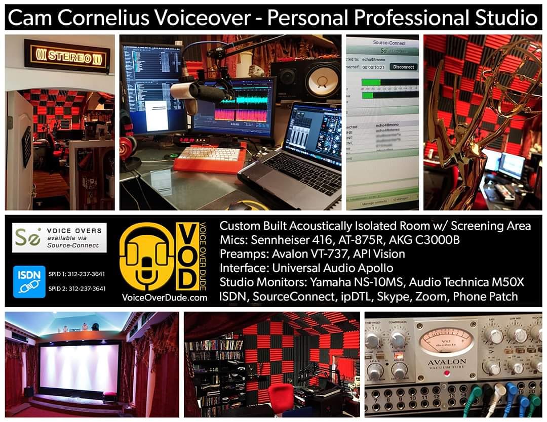 videocam's tweet image. Agreed, @BigHouseCasting. #RemoteVoiceOver is where I've been for over 7 years doing pro sessions via #ISDN and #SourceConnect. I am able to get  your #session done confidently and reliably. #vo #voiceover #NationalVO #EmmyWinning #VoiceArtsNominated #COVID19 #coronavirus