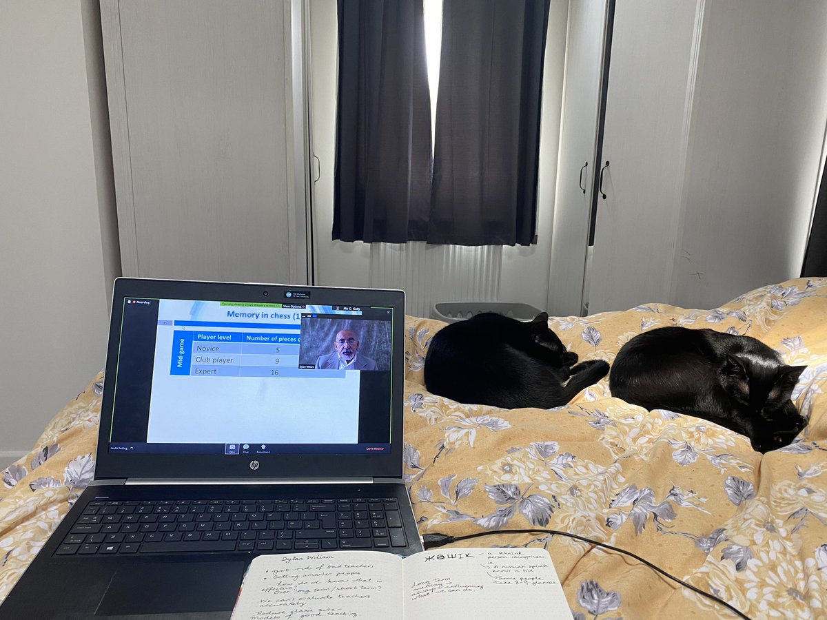 Cl4ireK's tweet photo. Watching @dylanwiliam from my “office” complete with nonchalant cats. #researched #lockdown #cpd https://t.co/VtZEuJoI6H