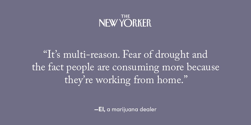 At 9:55 A.M., El pulled up in front of an apartment building in the East 70s and handed a corporate lawyer some edibles, sativa, and indica for the night; the bill was $600. El’s gross has risen almost 50 per cent.  http://nyer.cm/itMersZ 