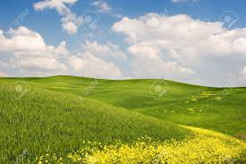 #Fase2 urgente chiarire la fruibilità dei #parchi, ribadiamo il loro valore per #salute #COVID19  e #svilupposostenibile, chiediamo chiarezza su dpcm <a href="/GiuseppeConteIT/">Giuseppe Conte</a> <a href="/Palazzo_Chigi/">Palazzo_Chigi</a> <a href="/robersperanza/">Roberto Speranza</a> @SergioCosta_min <a href="/RMorassut/">Roberto Morassut</a> 
Leggi news completa:
parks.it/federparchi/de…