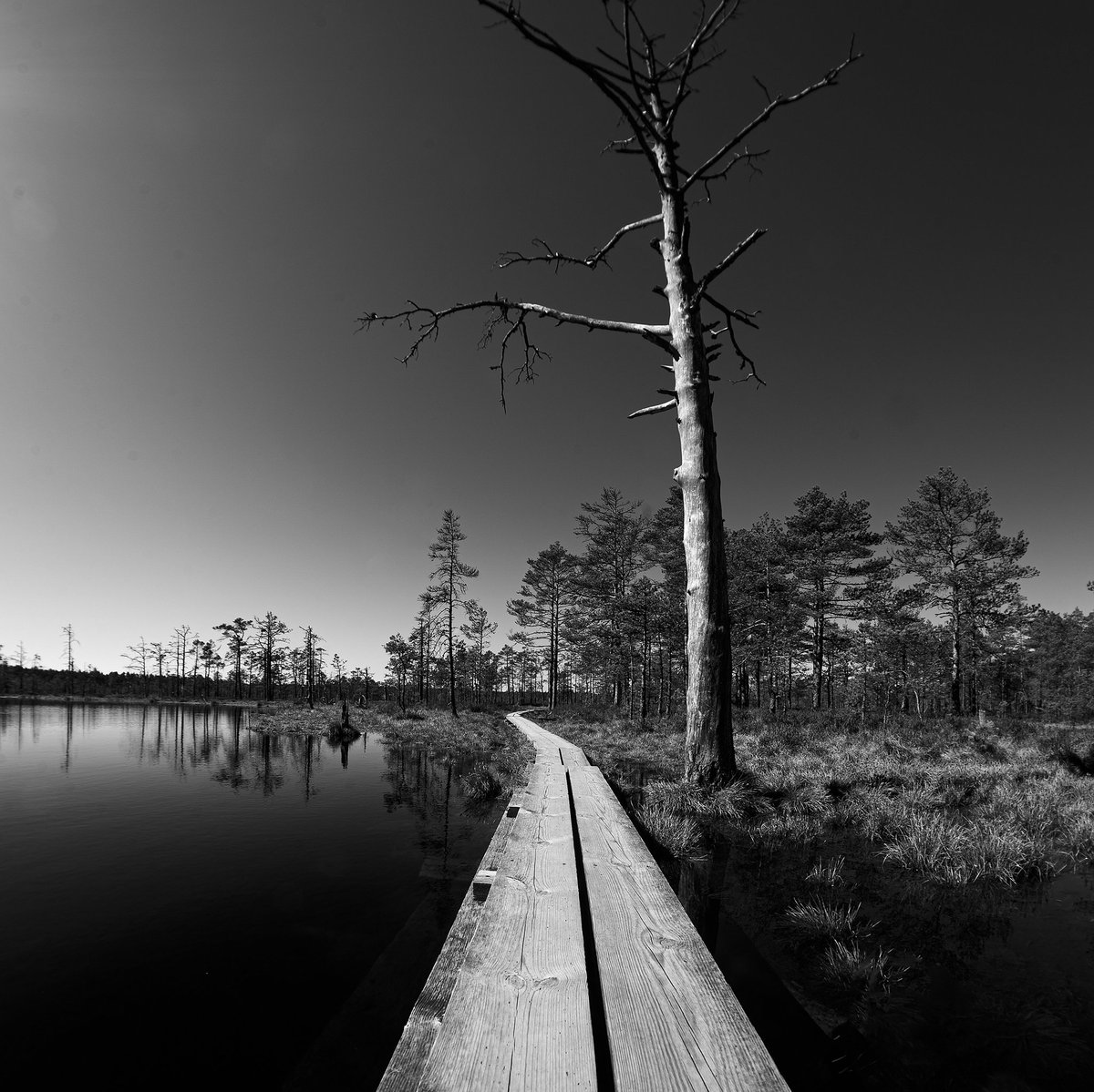 Üksiolek ja rahuaeg
_________________________________
Some much-needed alone time