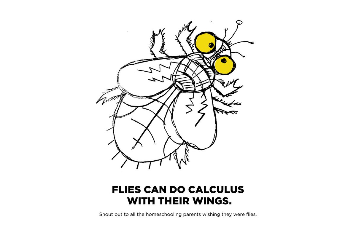 SpreadMoreGood's tweet image. #Spreadmoregood fun fact and a big shout out to all the homeschooling parents this Monday morning. Just in case you needed to hear this today: You got this! #homeschooling #homeschool