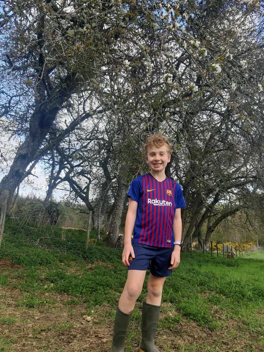 Ailsa Stinson tweet media