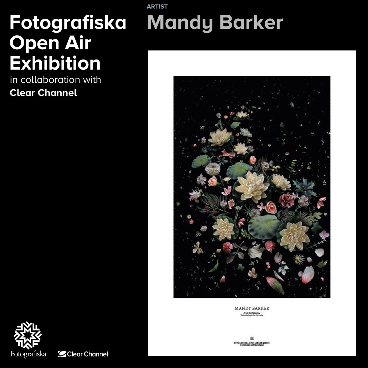 Mandy Barker tweet media