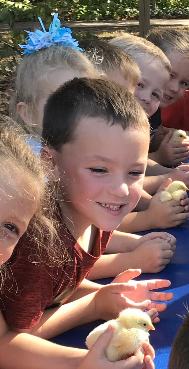 JenniferVeazey1's tweet photo. Congratulations to James Johnson for making his Accelerated Reader goal for the 4th nine weeks!  We are so proud of you!  Keep up the amazing reading! Laker 4 Life!!! @SouthwestLaker https://t.co/T8DfEoNTN2
