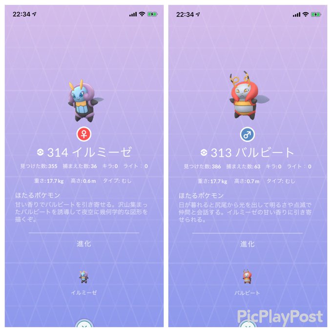 ポケモンgoで 色違いイルミーゼ が話題に ポケgo トレンディソーシャルゲームス