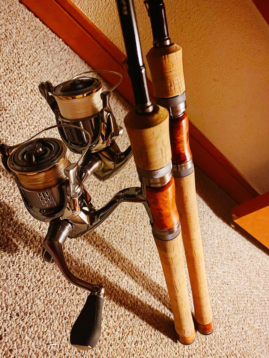 天龍 レイズ スペクトラ 71ML