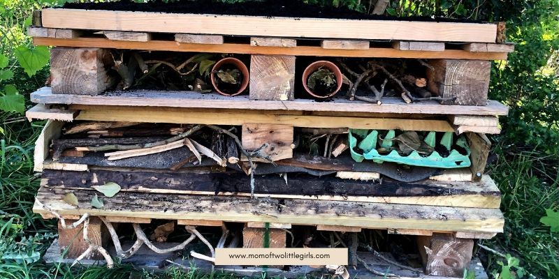 How To Build A Bug Hotel Using Recycled Materials
#bughotel #reducereuserecylce momoftwolittlegirls.com/bug-hotel-usin…