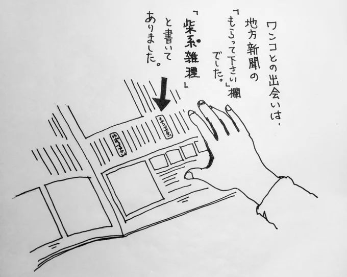 ワンコの思い出 1#秘密結社老犬倶楽部 #ある普通のワンコの話 