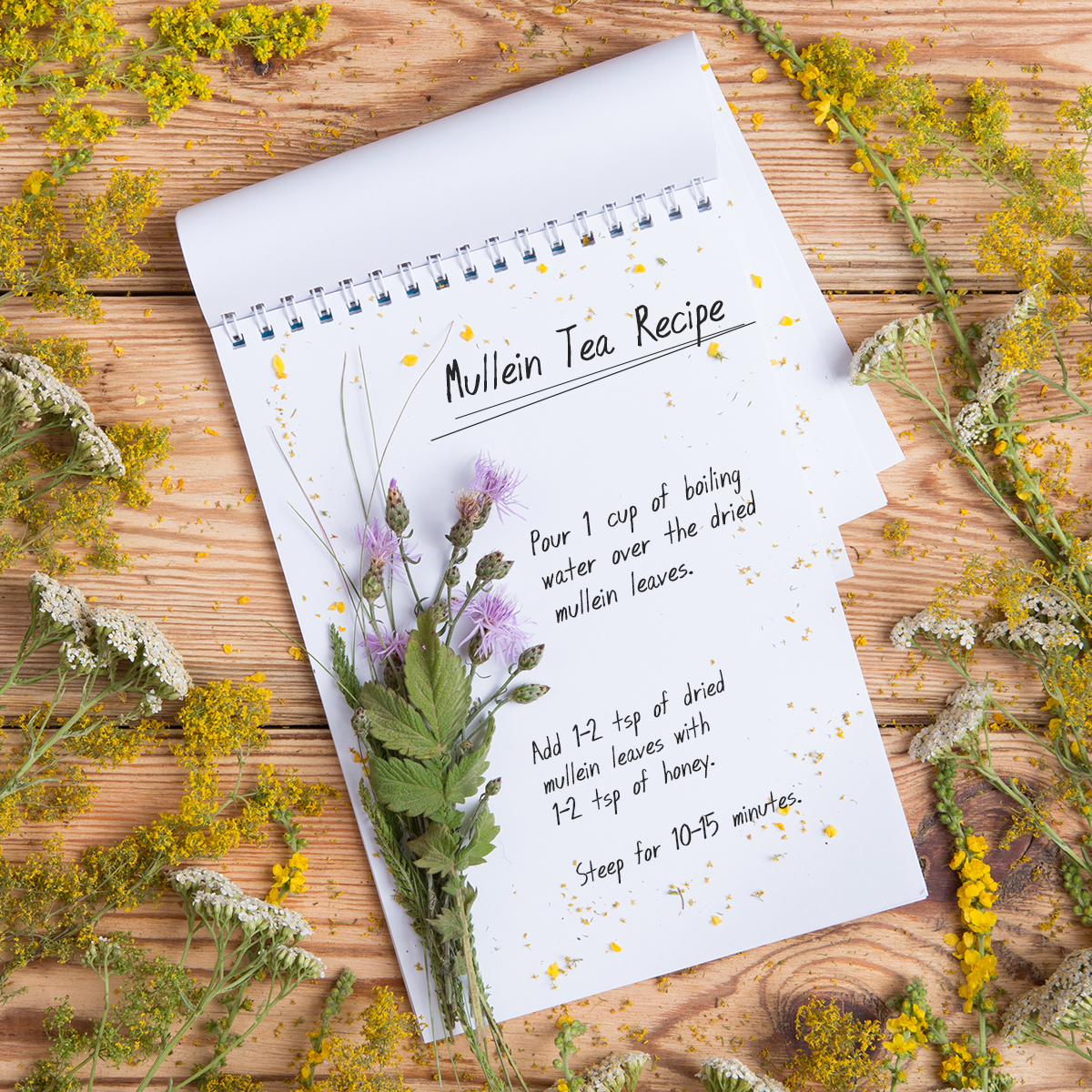 BurmaSpice's tweet photo. For centuries, #mullein has been used to treat hundreds of diseases, such as #coughing, colds, #respiratory conditions, among others. 🌿 Today we want to teach you how to make a healthy #tea with our Mullein Leaf.
#mulleinleaf #health #feelgood https://t.co/f5InNZYsPI