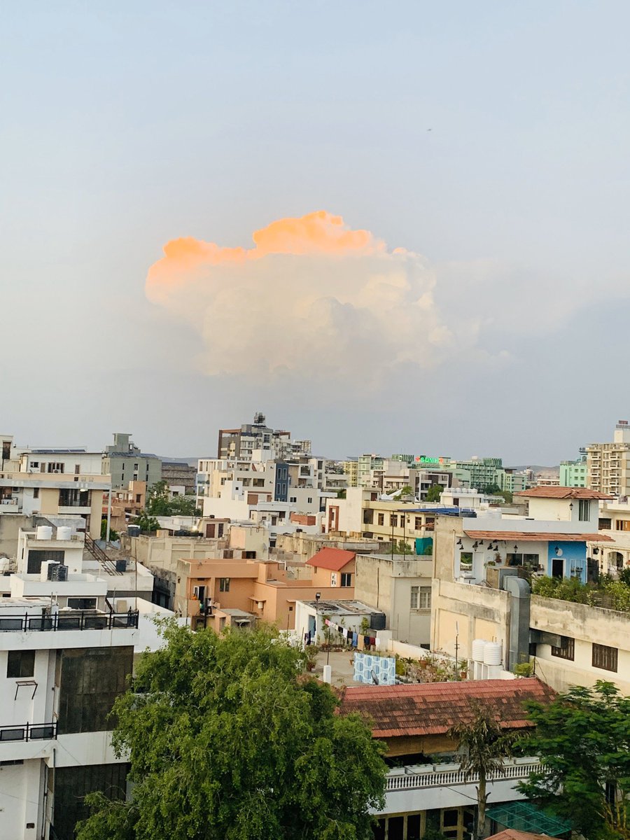 a_mathur's tweet photo. Nature is also Showing Indian Flag Colours as an Inspiration to fight against Covid 19 
Stay Home Stay Healthy Stay Safe!! 
#fightagainstcorona #stayhomestaysafe #trueinspirations #indiaonestrenth #jaihind
#proudindian @narendramodi @PMOIndia https://t.co/3F7vIxOh3Q