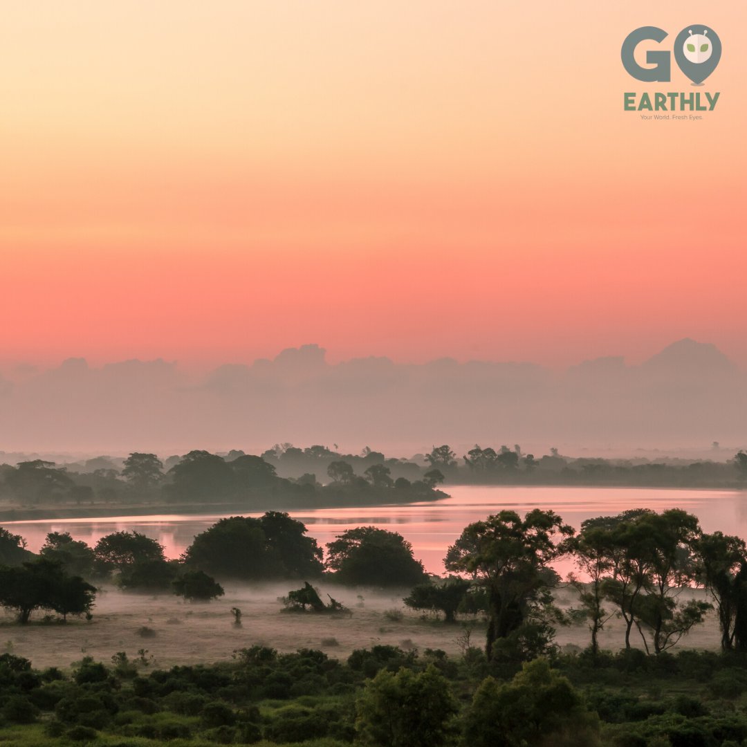 goearthly's tweet photo. That pre-dawn light in Mexico. 🇲🇽

Support and subscribe to our YouTube channel: https://t.co/rQqb2uYlyF

#travel #traveltheworld #travels #travelers #traveldiary #travelmore #GoEarthly #YourWorldFreshEyes https://t.co/fSVt258A5p