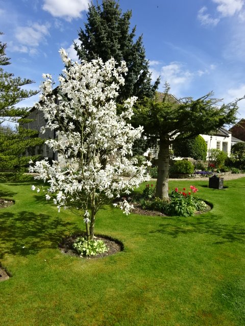NTWorkhouse's tweet photo. Our fabulous garden volunteers are currently polishing their skills at home. This week we'll be sharing their tips and photos with you.
Credit: Denise, Garden volunteer
#NationalGardeningWeek https://t.co/tmGxlbKsFs