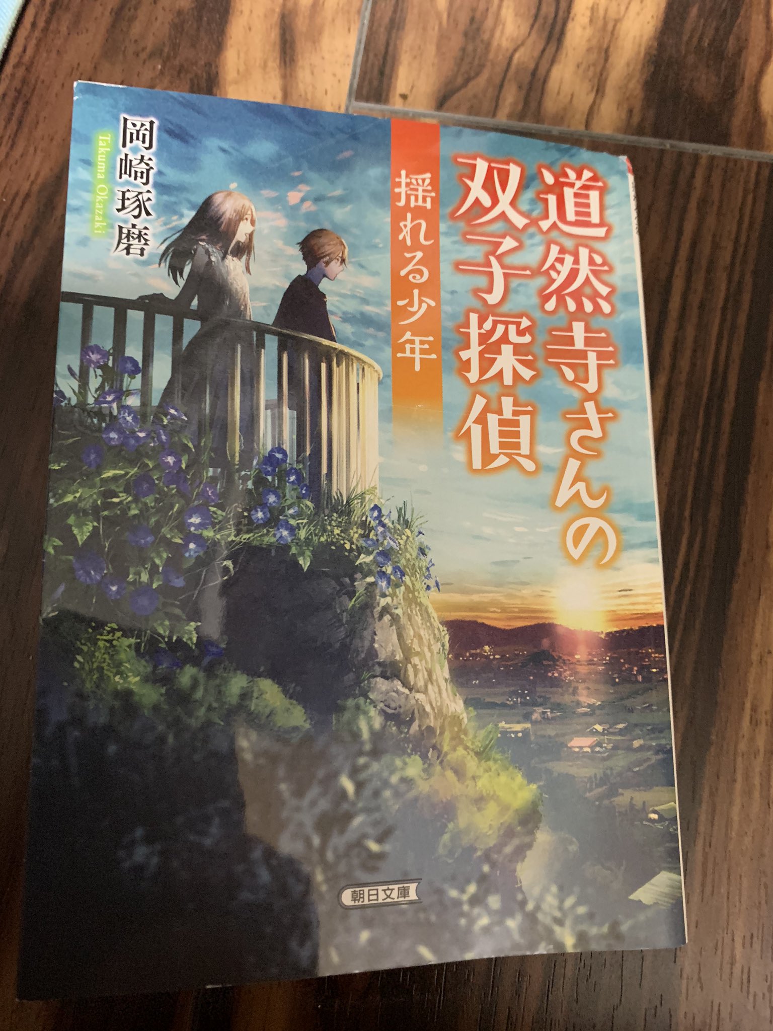 こがちゃん こがちゃんの読書感想文 第10弾は 道然寺さんの双子探偵 揺れる少年 です 舞台は福岡の寺 悪意に敏感なレンと善意を信じるランの双子の兄妹が主人公の物語です 1話完結で三 四年前に起きた熊本の地震がテーマになっております この地震