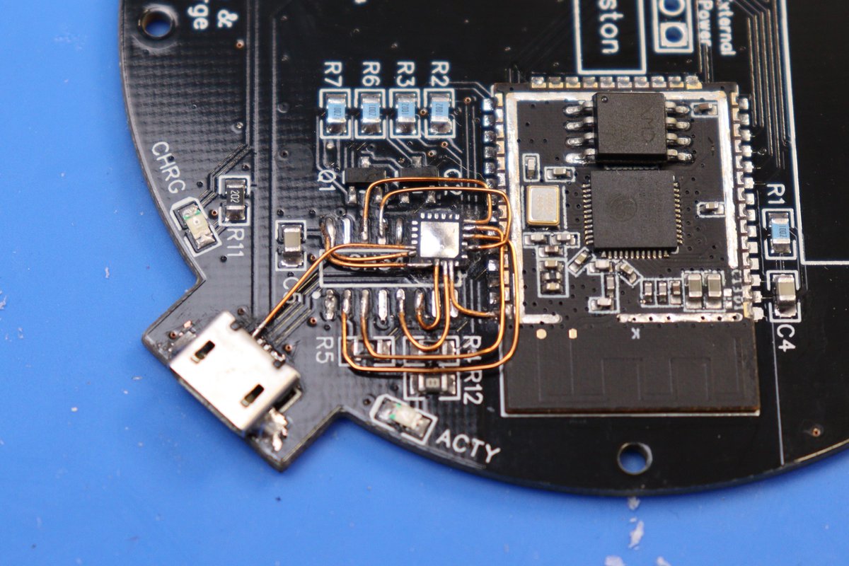 jipraus's tweet image. It looks messier on the shoots that it actually is.😉 I should get a microscope 🤔#deadbug