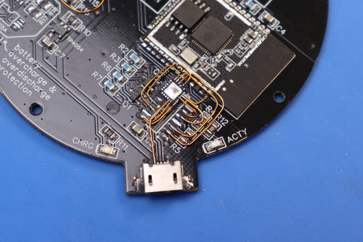 jipraus's tweet image. It looks messier on the shoots that it actually is.😉 I should get a microscope 🤔#deadbug