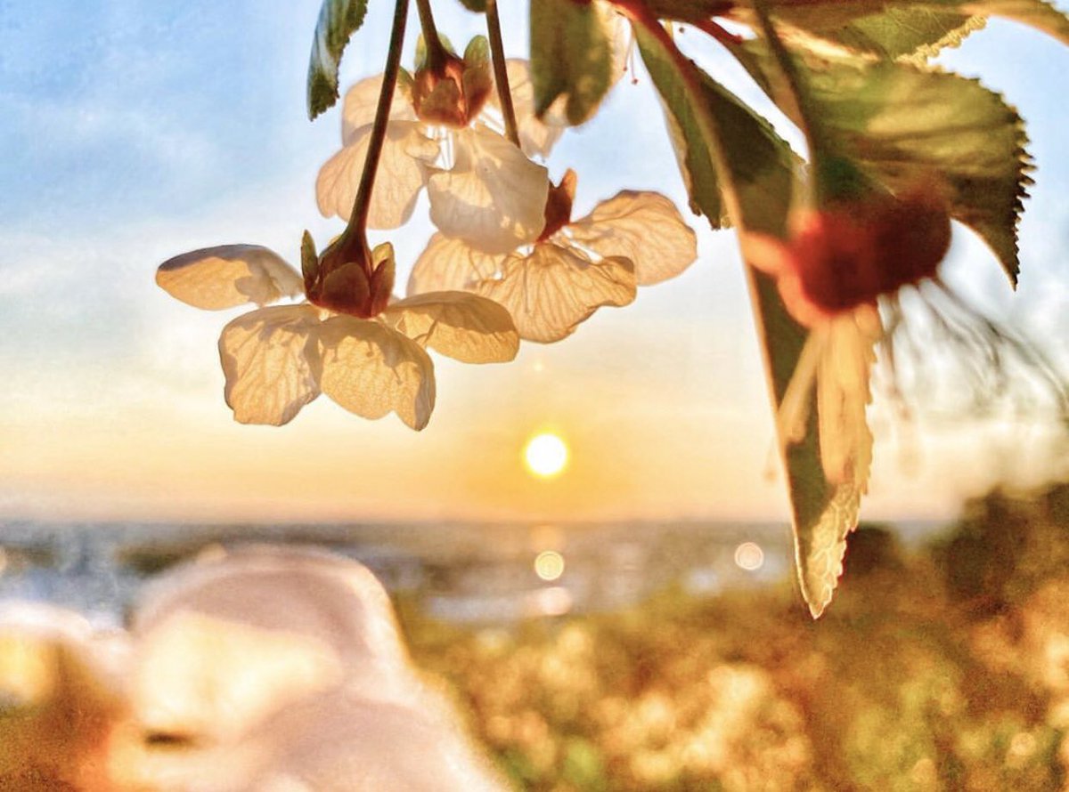 Et voici notre coup de cœur du jeu #monpaysageconfiné avec notre partenaire CAUE de la Gironde
Bravo @remymde pour cette jolie photo 
instagram.com/p/B_fdE6RAvrv/…