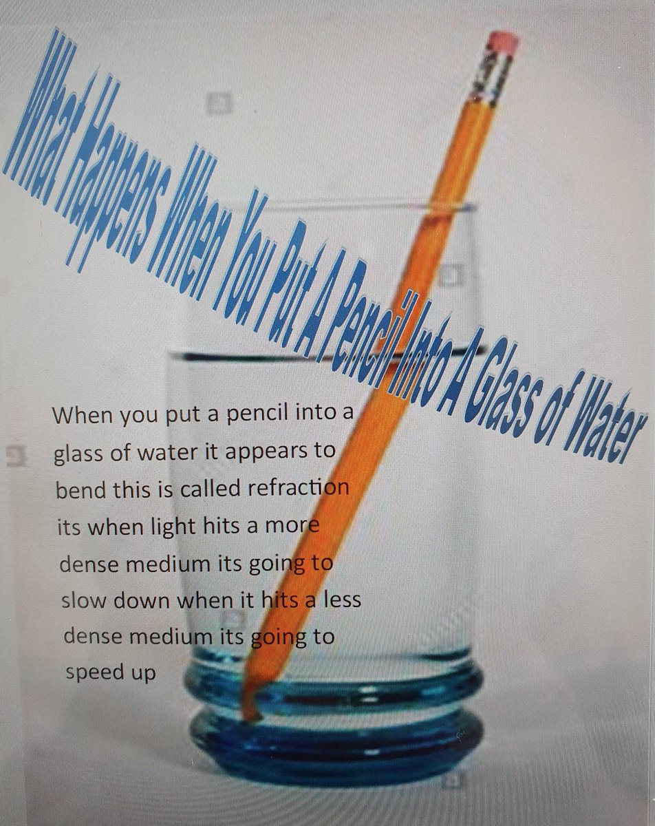 BishopbriggsBiology tweet media