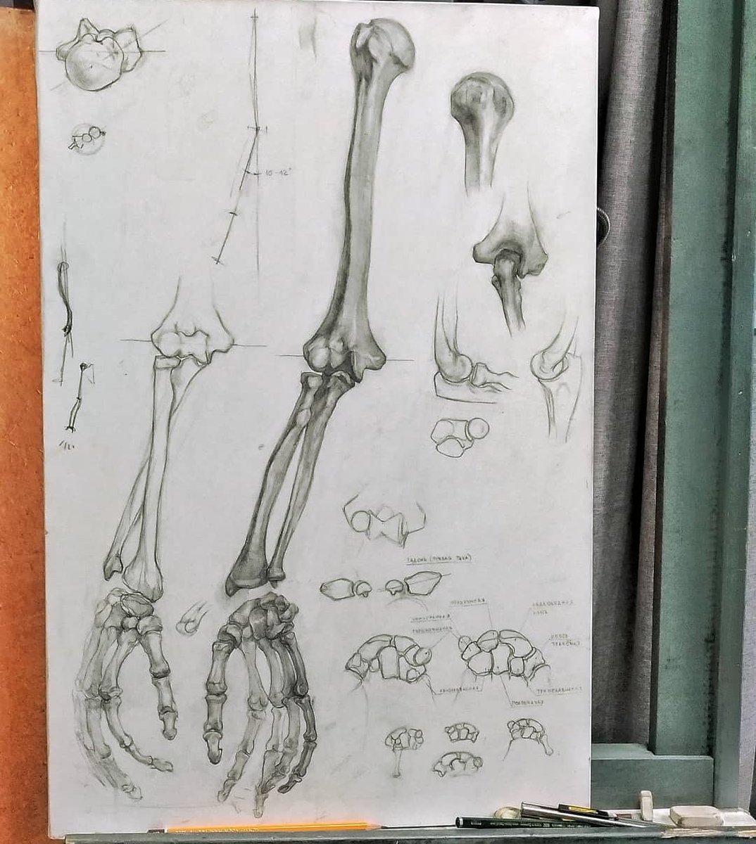 I found my old drawings from my art classes ✨i miss those times 