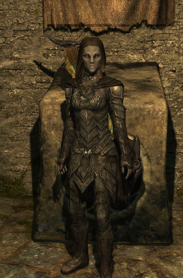 If you played as a dark elf youre the kind of gay that goes to a Halloween party dressed as a Disney villainess
