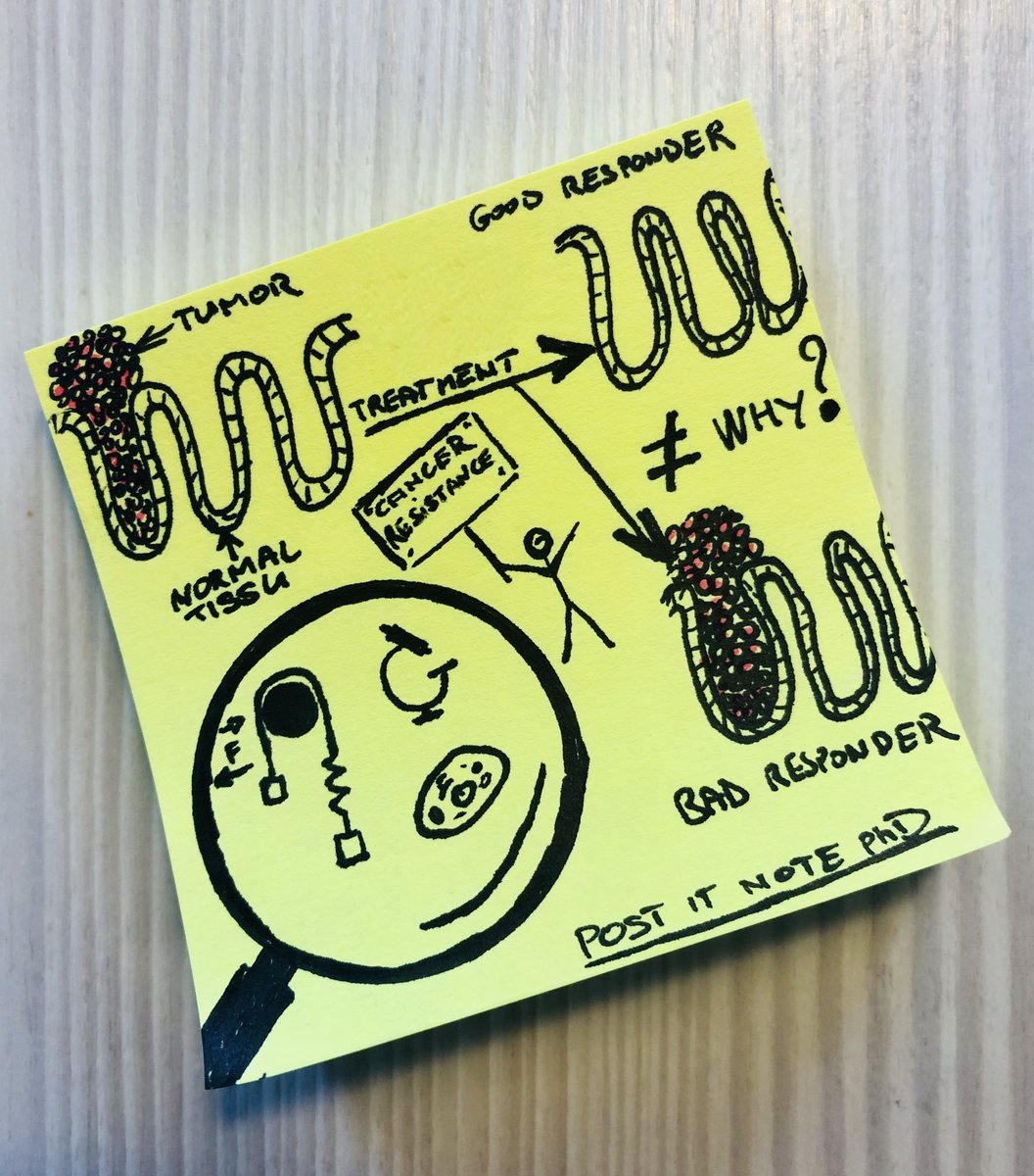FIRE PhD Program (@firephd) on Twitter photo #PostItNotePhD
Our #PhD students also took up this #scicomm challenge! Olivier Zajac uses biophysics to study the tumor resistance of chemoradiotherapy 🔬<a href="/institut_curie/">Institut Curie</a> #PostItNotePhD
Our #PhD students also took up this #scicomm challenge! Olivier Zajac uses biophysics to study the tumor resistance of chemoradiotherapy 🔬<a href="/institut_curie/">Institut Curie</a>