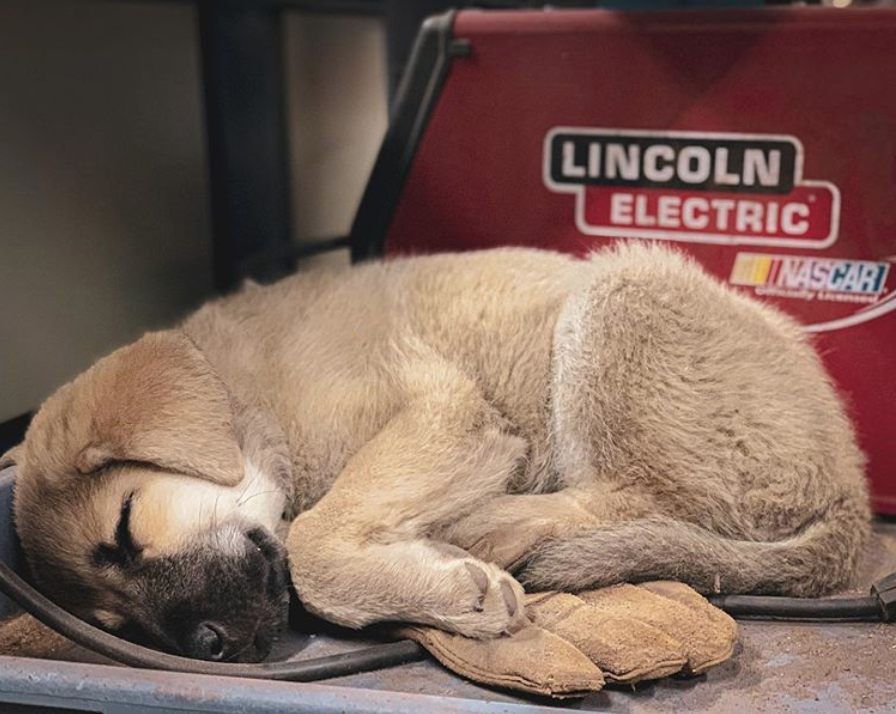 LincolnRetail's tweet photo. We're knocking out all kinds of projects during #NationalWeldingMonth but all that work can really wipe you out! #NWM2020 #NWM
📸Insta user: logan_tvb https://t.co/OpJmHZMeG5