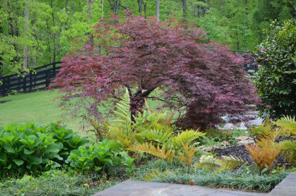 Monday Motivation, New Life storytellersquad.com/2020/04/27/mon…