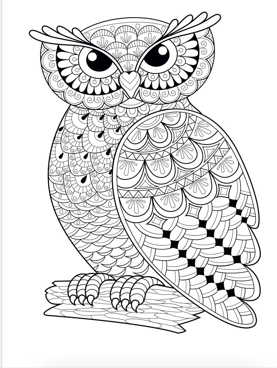 BooksVibrant's tweet photo. Editor's Choice Adult, coloring books animals, nature coloring book doodle ... https://t.co/wKlg9Pfp3h 
#quickdrawing #artist #animalcoloringbooks #creative #painting #doodler #doodledump #photooftheday #doodle #doddle #instaart #adultcoloringbooks #sketchbook #illustration https://t.co/0n8M9BNcBb