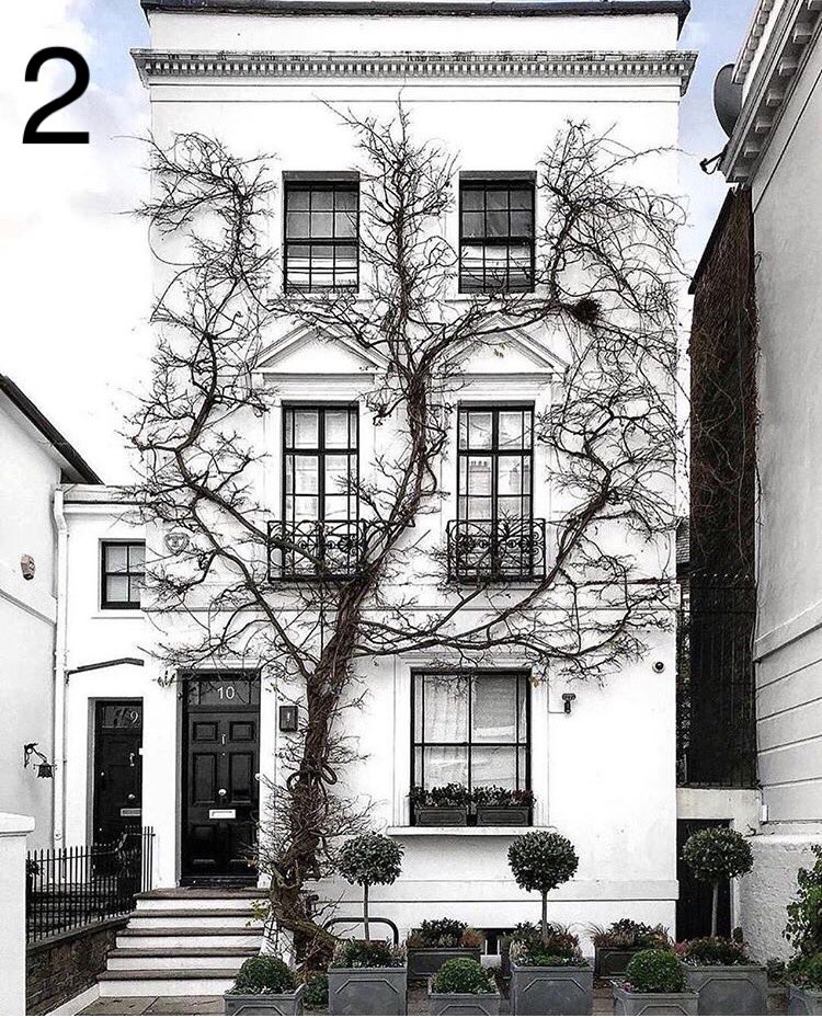 sisifrabeta's tweet image. Buenos días.
¿Me ayudas con una tarea? 

Por favor elige solo una. 

Yo &amp;lt;1&amp;gt;