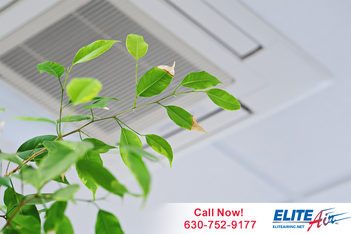 If you’re home doesn’t have proper air filtration, your indoor #AirQuality can be up to 97% more contaminated than the outdoor air. We have energy efficient and money-saving air quality improvement options! To find the system right for you, contact us. eliteairinc.net/air-quality/