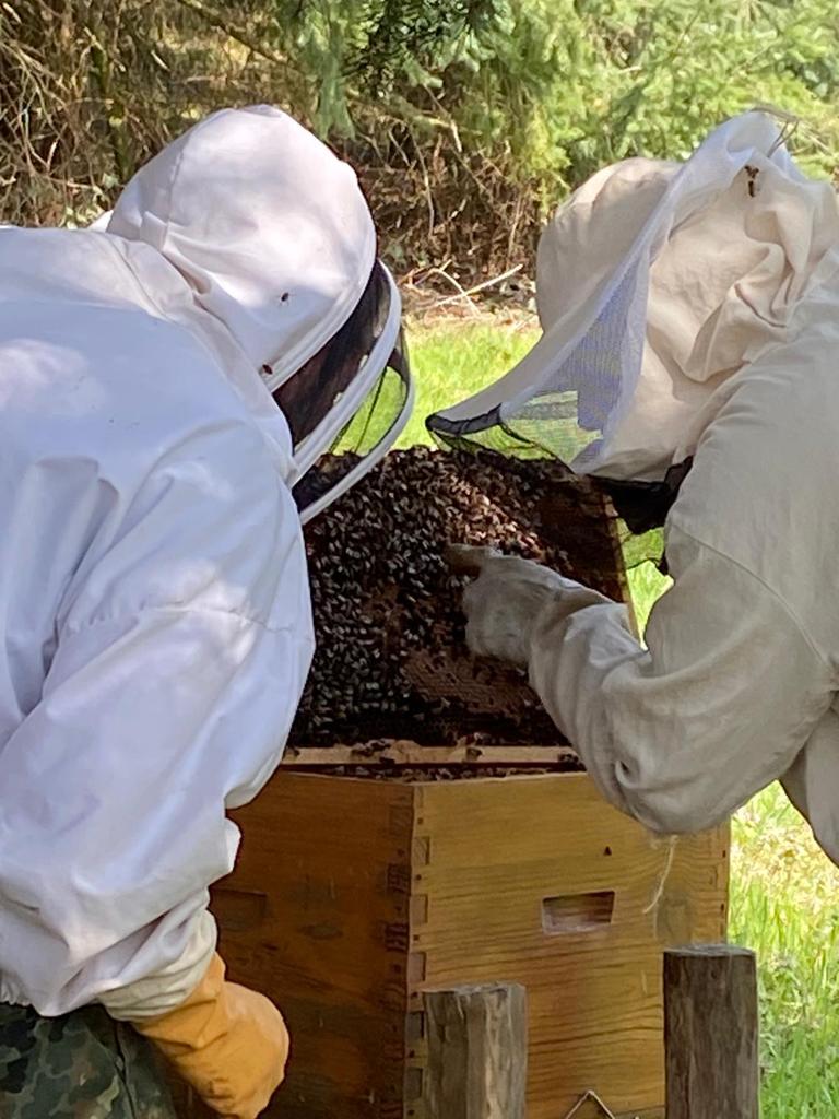 EHEApiculture's tweet photo. Quelques nouvelles de nos élèves #apiculteurs de l'@EHEApiculture 
Certains ont pu commencer leur #stage chez différents apiculteurs de #France. D'autres élèves profitent du confinement pour travailler sur #ruchers personnels. 
Les #abeilles travaillent et ne sont pas confinées! https://t.co/Owik90doYK