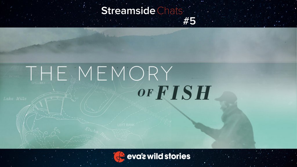 thewildfilm's tweet photo. This Thursday, join us for a live screening of #TheMemoryofFish, an award-winning documentary portrait of Dick Goin and his fight to free a river...
The film will be followed by a Q&A with filmmaker @galvin_jen and her amazing panelists!
๐ https://t.co/7AJuc3vgDe https://t.co/pHy0pfmtDq