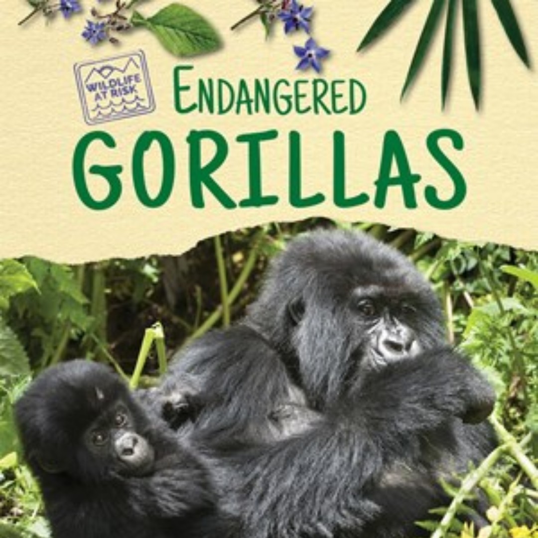 Three different species of Gorilla are listed on the IUCN Red List as critically endangered. Learn what’s threatening them and what conservationists are doing to help. 🦍
ow.ly/x5Ze50yWFUK #gorillas #endangered #enslowpublishing #wildlife