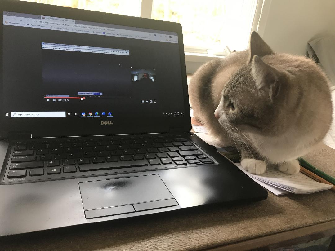 My coworker is learning all about Screencastify, thanks to the wonderful folks at CCPS who are sharing their expertise in webinars.  Thanks to all.  These are a big support in the push to make DL the best it can be.