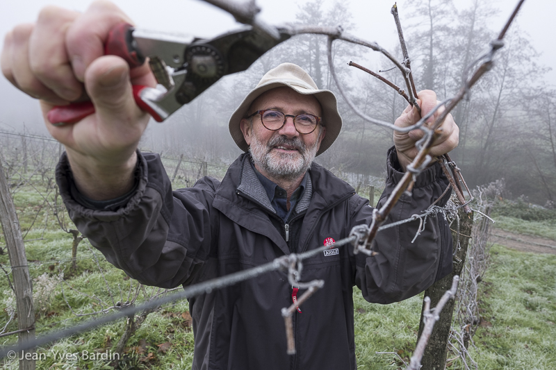 jybardin's tweet photo. Après les portraits de Marie et Anne Guégniard-guitton au domaine de la Bergerie, rencontre avec Yves Guégniard, le papa.
#Anjou #winelovers #vigneron #vinsdeloire #Loirepower
https://t.co/NrxfE7eCmp https://t.co/zGsgn5jOAS